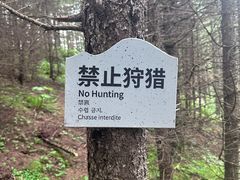 -芦芽山旅游度假区