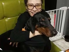 -百好乐宠物友好餐厅(朝外大街店)