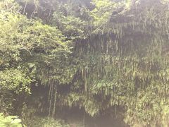 -海口火山口国家地质公园