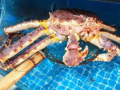 -宾朋海鲜饭庄(兴海路店)