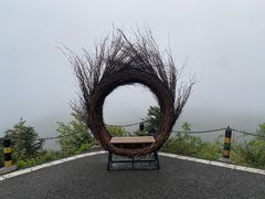 -武陵山森林公园