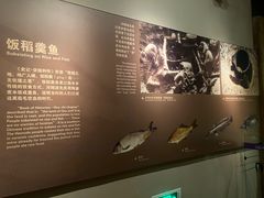 -河姆渡遗址博物馆