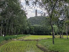 -北坞公园