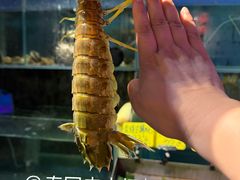 -辉记炭烧海鲜大排档·老字号(福田店)