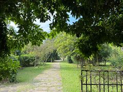 -中国科学院西双版纳热带植物园