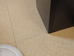 -佛有缘素食馆·荔湾老字号(陈家祠首店)