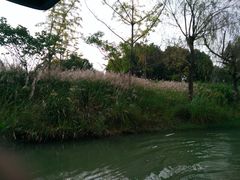 -梁鸿国家湿地公园
