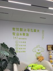 -凡碧诗毛孔清洁收细