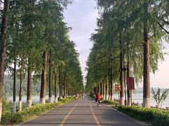 -东湖落雁景区