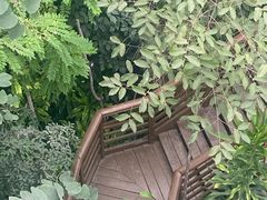 -郑州植物园
