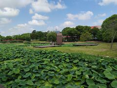 -美兰湖景区