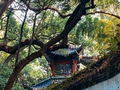 -杭州黄龙洞