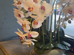 -新雅粤菜馆(南京东路店)