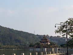 -顺峰山公园