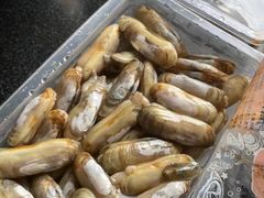 -麦德龙(虹口江湾店)