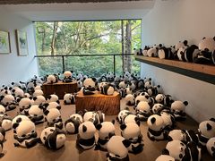 -杭州植物园
