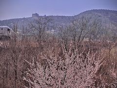 -居庸关长城