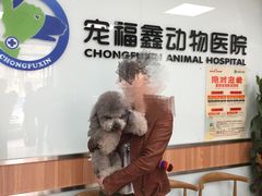 -宠福鑫动物医院(城北分院)