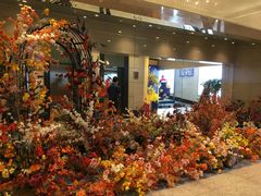 -海都六福酒家(世博广场店)