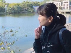 -大屏嶂森林公园