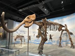 -辽宁古生物博物馆