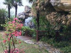 -金孔雀温泉旅游度假村