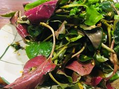 -陈三炖鸡馆(金众小区店)