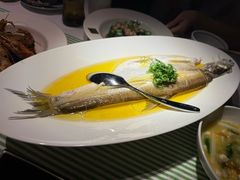 -桂满陇·锦绣江南(益田广场店)