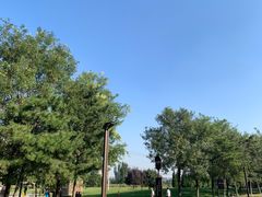 -汉长安城未央宫国家考古遗址公园