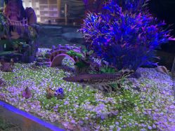 -酷嗒动物文化乐园(cutezoo西溪乐天城店)