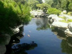 android_upload_pic-中国唐苑