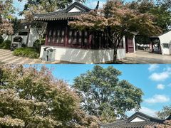 -枫桥景区