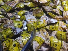 -聚盛源蒸汽海鲜火锅烤肉自助(巨川金海岸购物广场店)