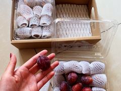 -盒马鲜生(红莲店)