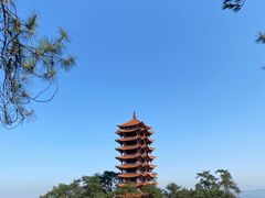-缙云山景区