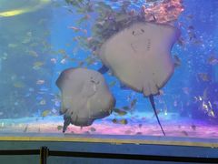 -常州海昌海洋探索馆