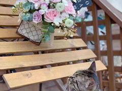 -ChaKo Flora ·茶子花艺 (市北店)