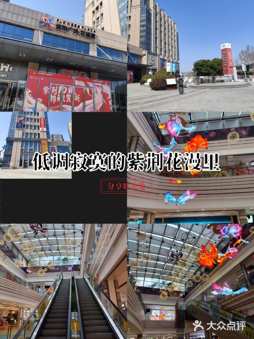 紫荆广场·花漫里图片
