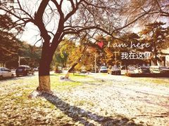 -和府捞面(东直门银座店)