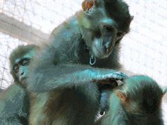 -泉州海丝野生动物世界