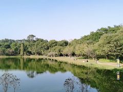 -东莞植物园