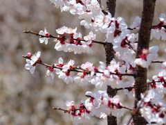 -崂山九水游览区