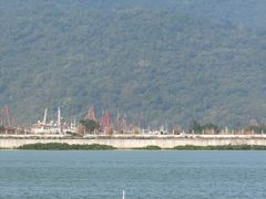 -芒洲湿地公园