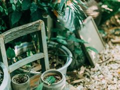 -时光花园(白鹭洲店)