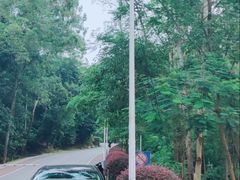 -火炉山森林公园