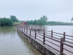 -大湾区中央湿地公园