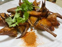 -肥舅父農莊