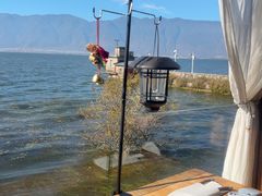 -六阅·福十 FORTEN 海景咖啡西餐厅(双廊古镇店)