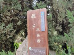 -昆明植物园
