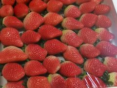 草莓-西郊国际农产品交易中心